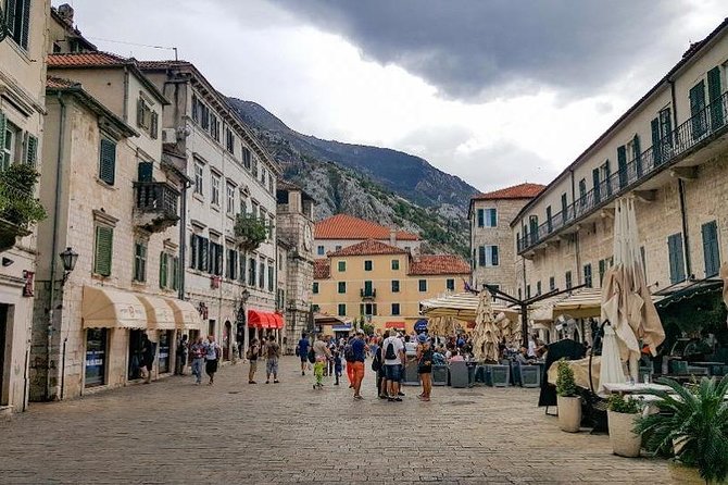 Private Montenegro Tour - Cetinje, Kotor & Budva visit - Kotor Old Town on foot: squares, cathedral, museum, and cats