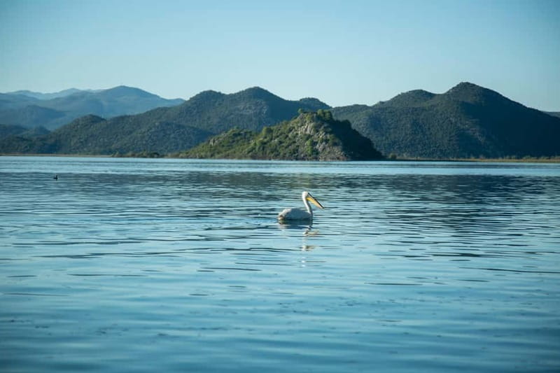 Private morning tour with refreshments and hidden canals! - The planned flow: 2 hours that balance viewpoints, birds, and a swim
