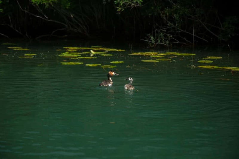Private morning tour with refreshments and hidden canals! - Secret canal cruising: the quiet start that makes it feel private