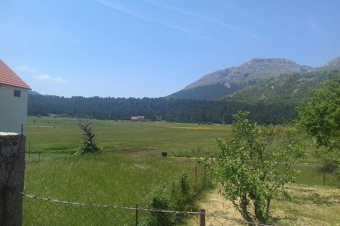 Private National Park Lovcen with food and wine tasting - Who should book this Lovcen with tastings tour