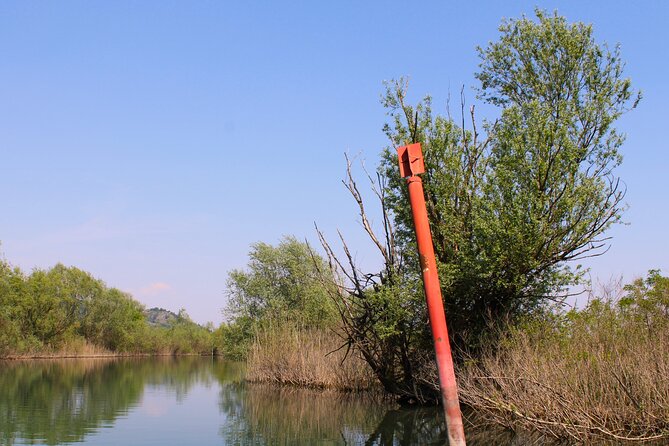 Private Skadar Lake National Park Tour with Wooden Boat and Wine - Meeting point basics, timing, and weather reality