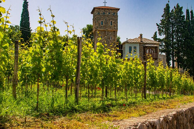 Private Tour From Montenegro: Trebinje & Tvrdos Monastery w/ Wine & Food Tasting - Tvrdos Monastery: wine tasting tied to a 16th-century Orthodox center