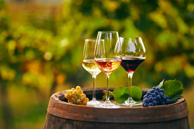 Private Tour From Montenegro: Trebinje & Tvrdos Monastery w/ Wine & Food Tasting - Food matters here: local tasting instead of a full lunch