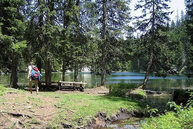 "Private Transfers & Day Tours in Montenegro - Private Means Your Group Sets the Pace