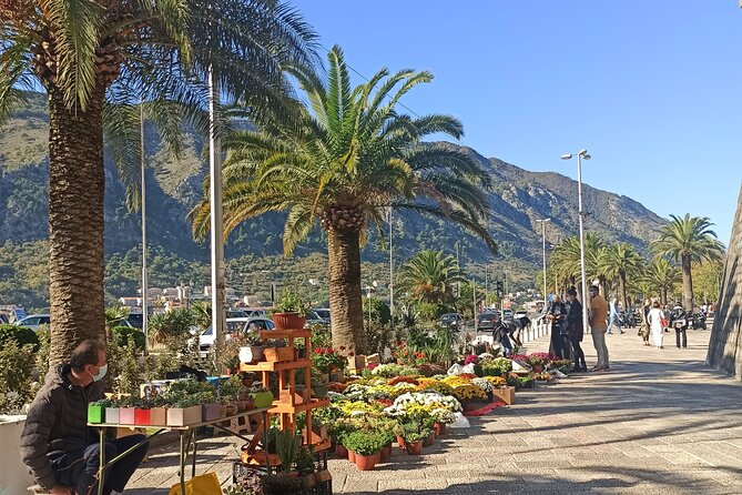 Private Walking tour with Wine and Food - Stop 3: Trg Sv. Tripuna Lunch, Buzara Mussels, and Local Wine or Beer