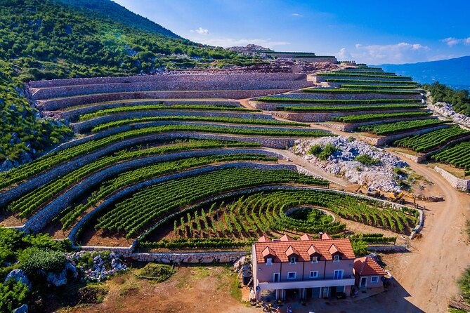 Private Wine Tasting Activity at Lipovac Winery - Key highlights at Lipovac Winery (Podgorica area)