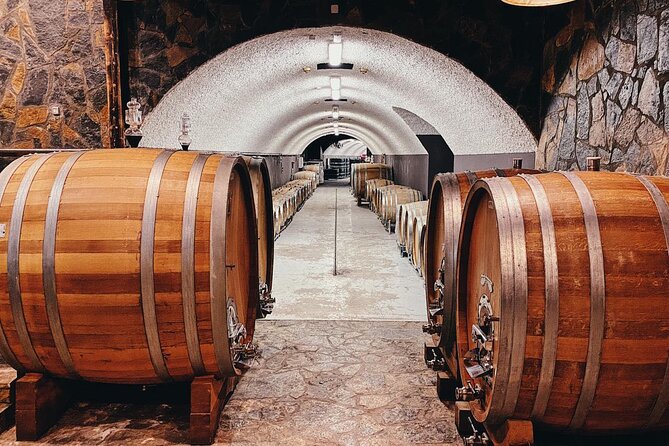 Private Wine Tasting Activity at Lipovac Winery - The technological bottling hall: where the modern side shows up