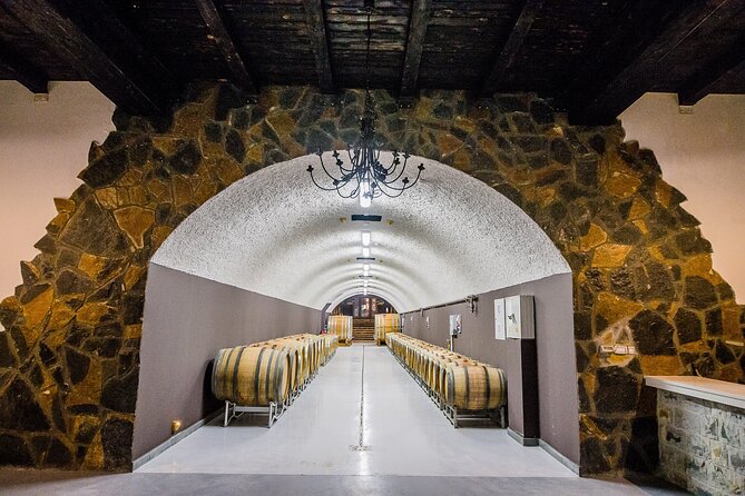 Private Wine Tasting Activity at Lipovac Winery - Private wine tasting, real hosts, and why the group size matters