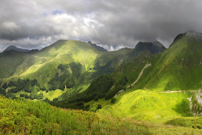 Shared Lake Skadar Tour and Biogradska Gora - Key things I’d bet on before you book
