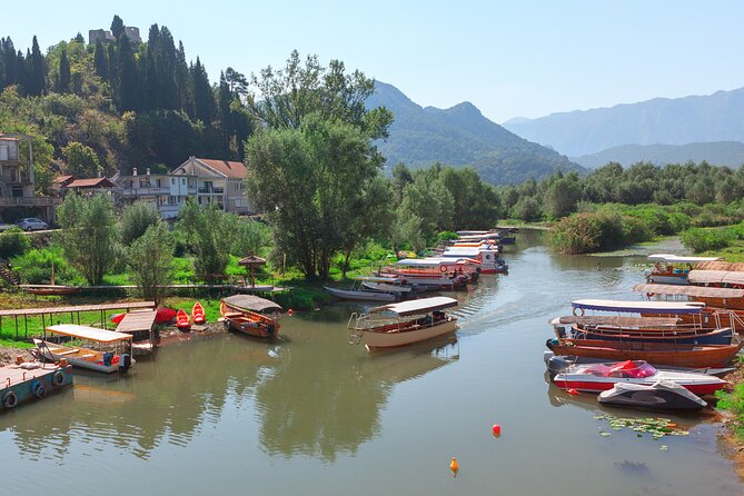 Shared Lake Skadar Tour and Biogradska Gora - Moraca Canyon Road Show: The Drive Is Part of the Adventure