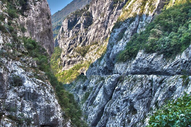 Shared Lake Skadar Tour and Biogradska Gora - Price and Logistics: What You Get for $82.90
