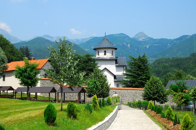 Shared Lake Skadar Tour and Biogradska Gora - What to Expect On the Ground: Timing, Groups, and Comfort