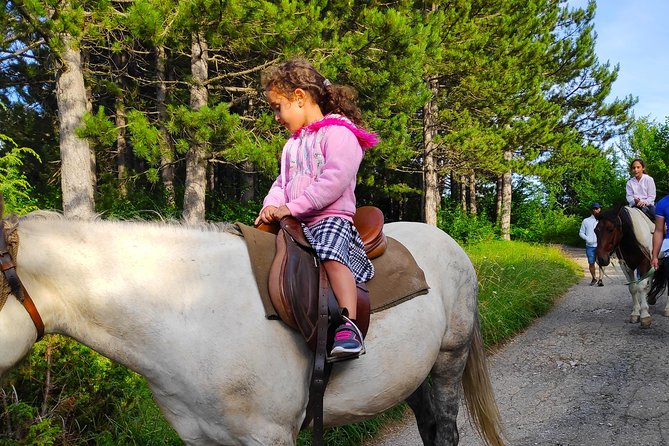 Short Horseback riding - Kolasin - Dinner and Overnight Bungalows for the Full Experience