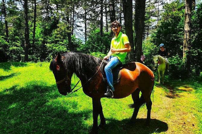 Short Horseback riding - Kolasin - Riding Back in the Morning on Another Route