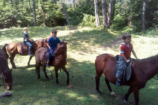 Short Horseback riding - Kolasin - Price and Value: What $68.26 Buys You