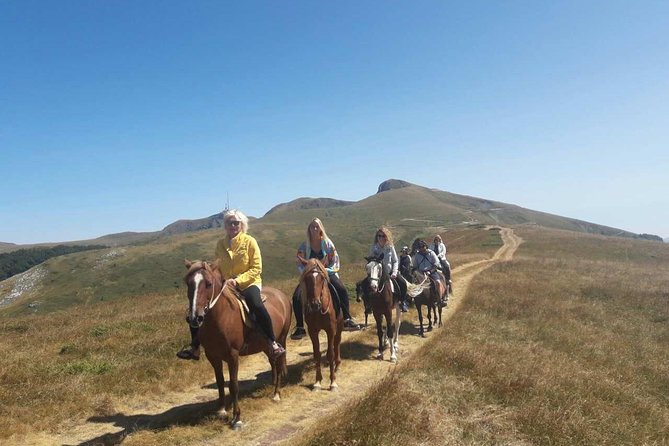 Short Horseback riding - Kolasin - Beginner Riding Lessons, and Why the Horses Matter