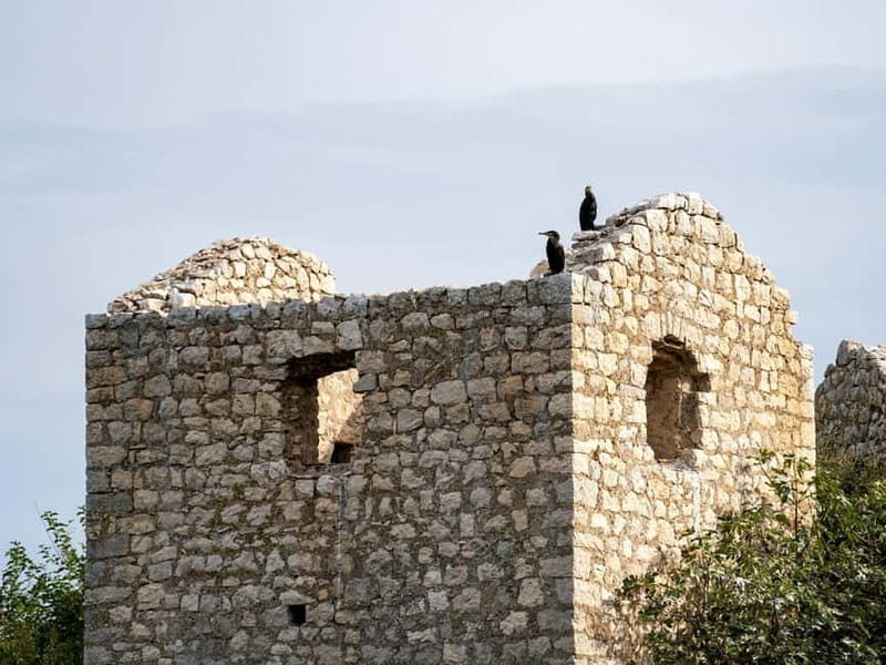 Short Skadar Lake Boat Tour to Morača River with Drinks - Key things to know before you go