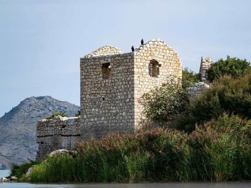 Short Skadar Lake Boat Tour to Morača River with Drinks - Skadar Lake National Park by boat: reeds, channels, and easy wildlife time