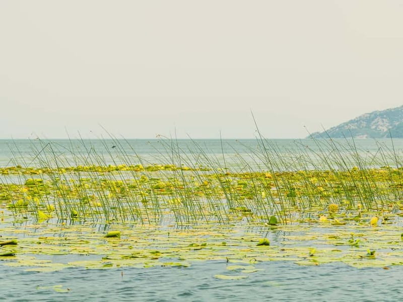 Short Skadar Lake Boat Tour to Morača River with Drinks - Mount Vranjina and Albania in the same frame