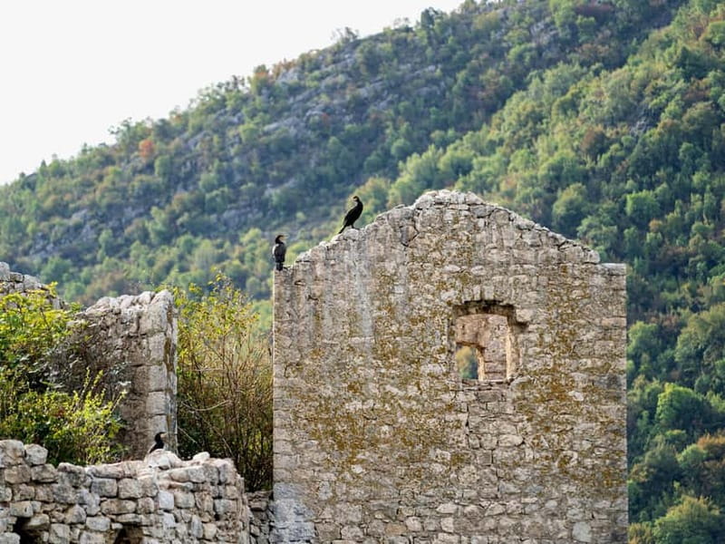Short Skadar Lake Boat Tour to Morača River with Drinks - Grmožur photo stop and the value of a planned pause