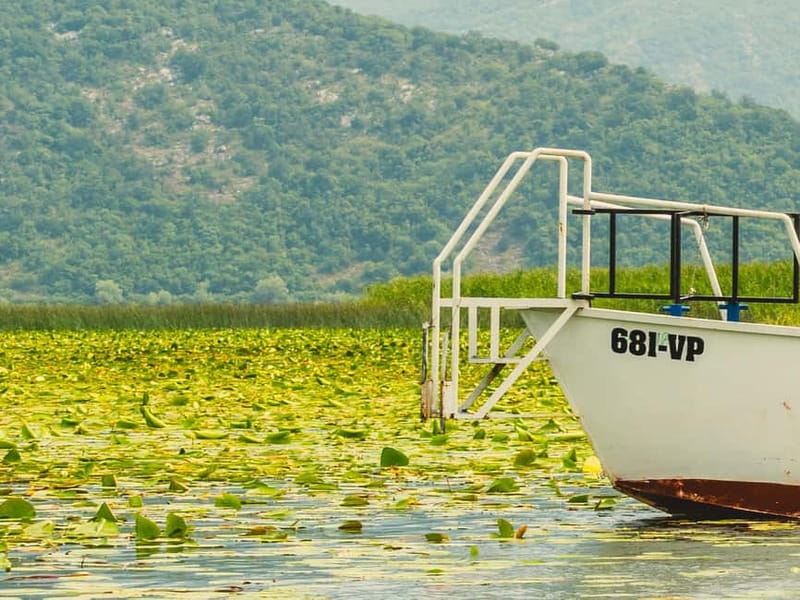 Short Skadar Lake Boat Tour to Morača River with Drinks - The planned swim stop: crystal-clear water, so pack for it