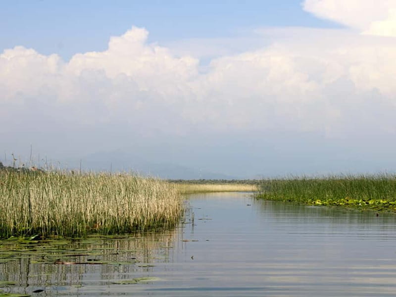 Short Skadar Lake Boat Tour to Morača River with Drinks - Drinks on board: wine and juice, and one small caution