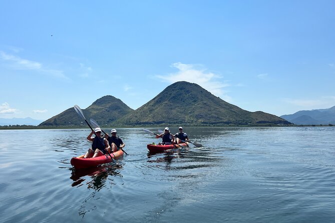 Skadar Lake: 4-Hour Guided tours on Kayak - Skadar Lake National Park: 10 km of paddling, Kamenik Island, and a swim