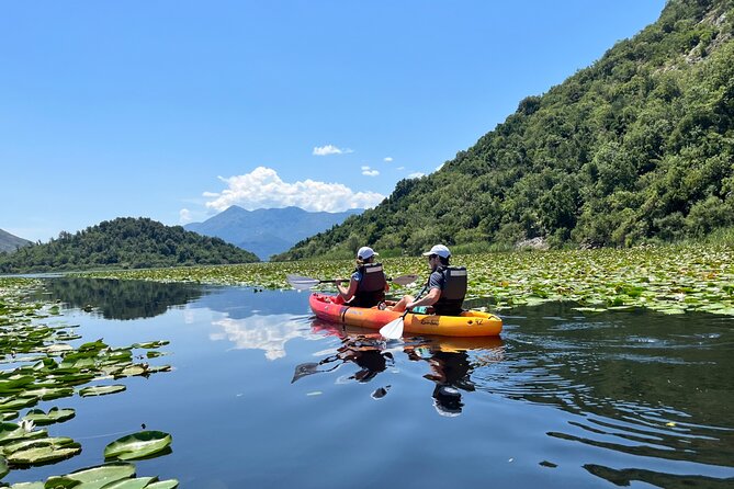 Skadar Lake: 4-Hour Guided tours on Kayak - The Kom Monastery option and the optional fresh-fish meal