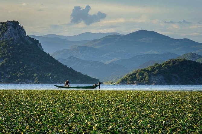 Skadar lake boat ride through "Montenegrin Amazon", wine tasting & Niagara falls - Key Highlights You Can Really Plan Around
