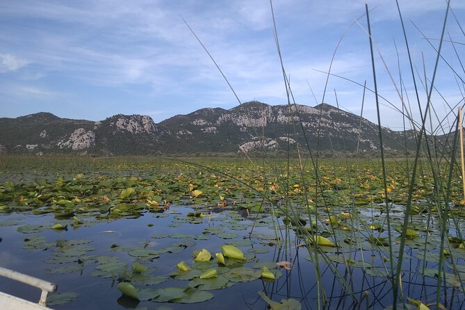 Skadar lake boat ride through "Montenegrin Amazon", wine tasting & Niagara falls - Lake Skadar To Wine: Why This Route Works