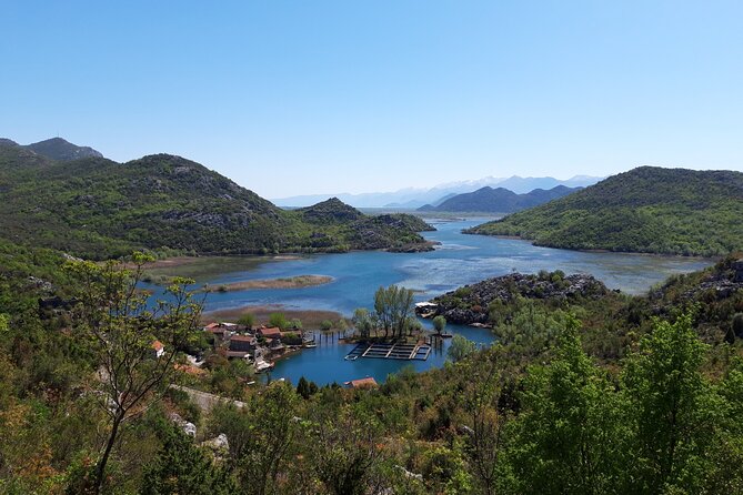 Skadar lake boat ride through "Montenegrin Amazon", wine tasting & Niagara falls - Karuc Village and Igor’s Painter-Host Story