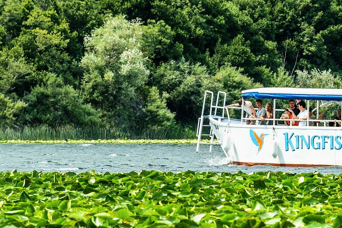 Skadar Lake & Crnojevića River: Swimming, Snacks & Wine - The Swim in Lake Skadar: The Main Reason People Remember This