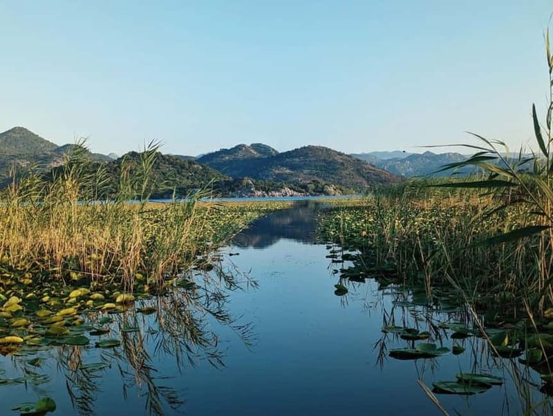 Skadar lake cruise - Virpazar - Kom monastery - Virpazar - Water chestnut and water lilies, plus bird spotting from the boat