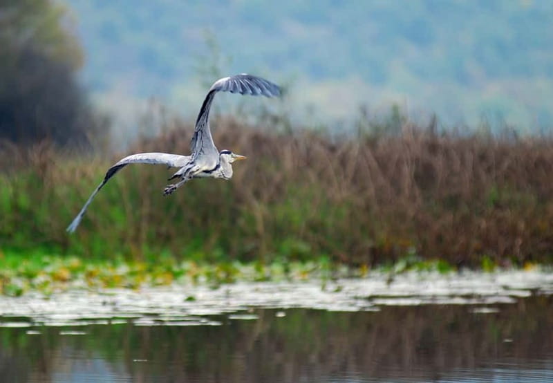 Skadar lake cruise - Virpazar - Kom monastery - Virpazar - Price and entry fees: what $37 really covers