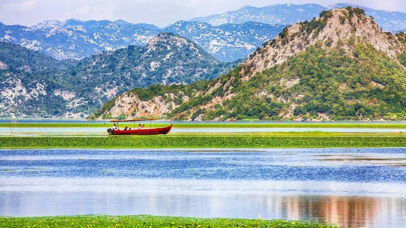 Skadar Lake day trip from Herceg Novi - Why Skadar Lake is a big deal in Montenegro