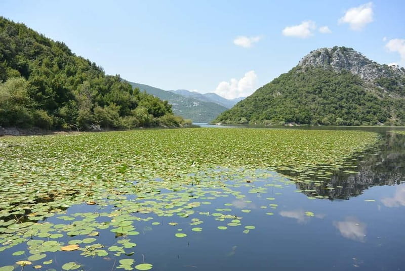 Skadar Lake day trip from Herceg Novi - The 3-hour cruise: fortresses, monasteries, and birds