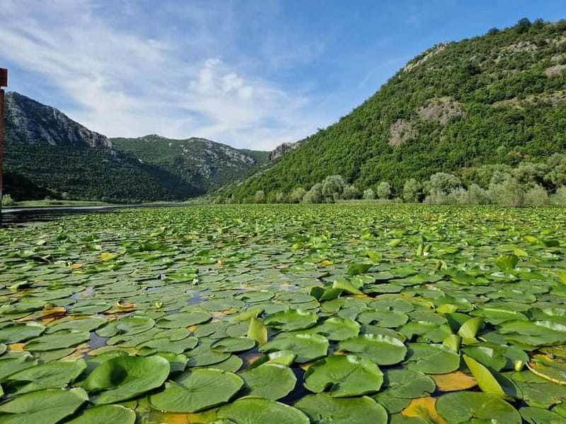 Skadar Lake: Explore the nature and national cuisine - Virpazar break: where the lake feels like a town