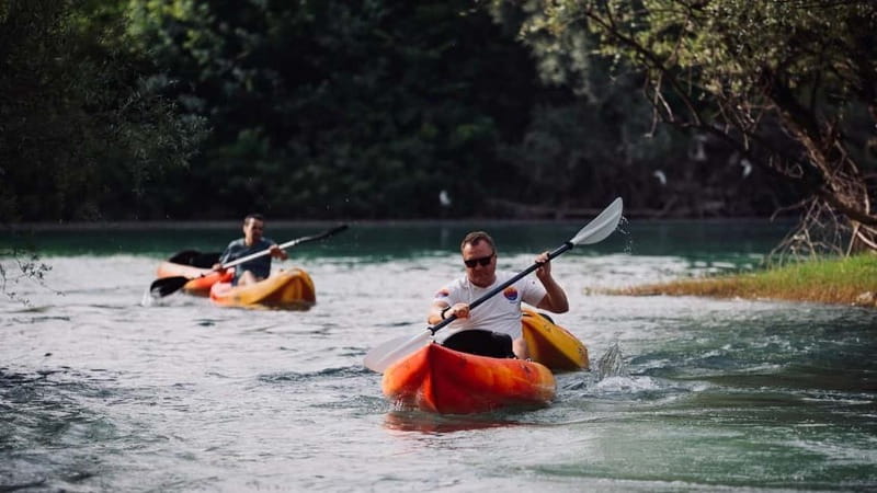 Skadar Lake: Kayak & Paddle board Rental - On the Water: Reed Beds, Islands, Old Forts, and 270+ Bird Species