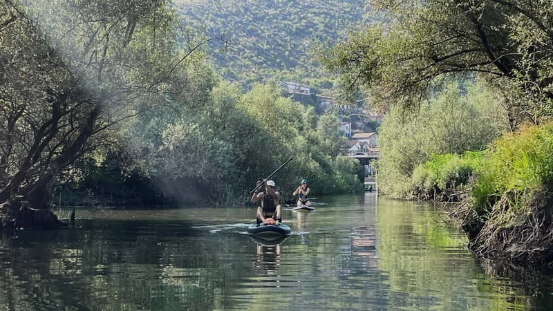 Skadar Lake: Kayak & Paddle board Rental - The Optional €15 Fish Meal and the National Park Ticket You Should Budget