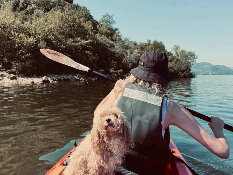 Skadar Lake: Kayak & Paddle board Rental - Small Logistics That Save Time at the Start