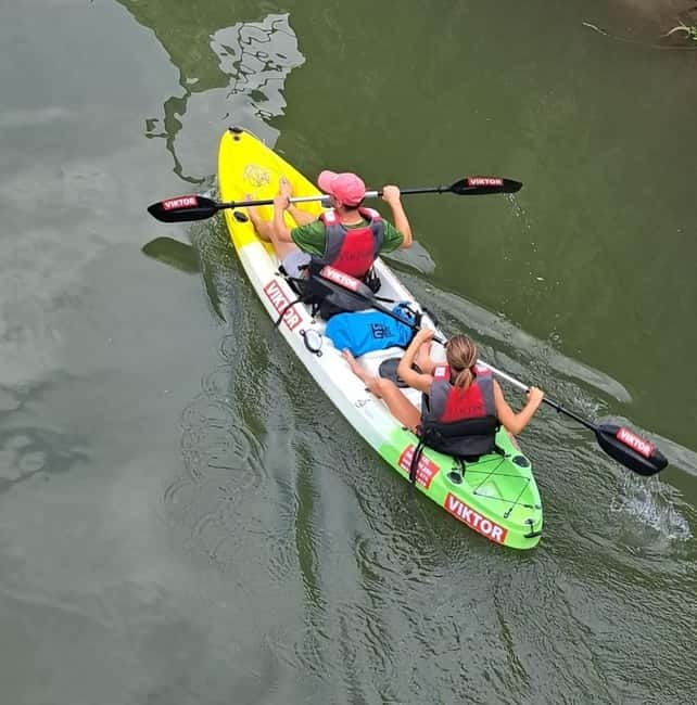 Skadar Lake kayak rent: A Journey Through Tranquility - Why Skadar Lake Kayaking Works for Nearly Every Paddler