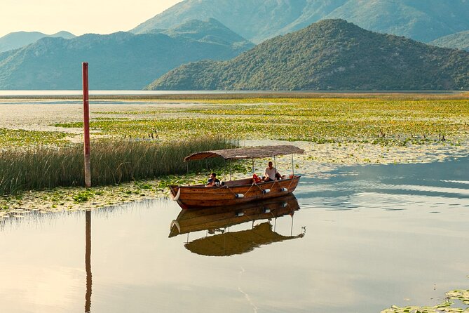 Skadar Lake National Park: Birdwatching & Photography Tour - What you might see: pelicans, herons, and the birds that steal the show