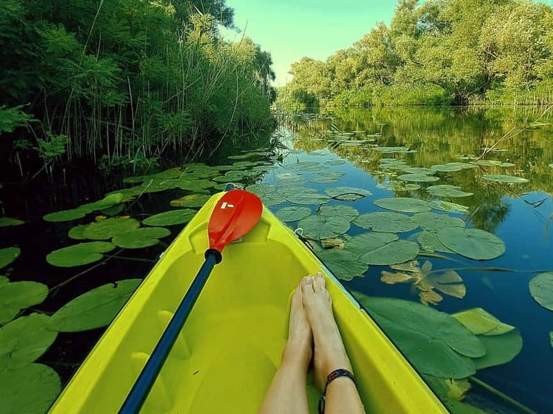 Skadar Lake National Park: Eco-friendly Kayak Adventure - Key Highlights You Should Care About