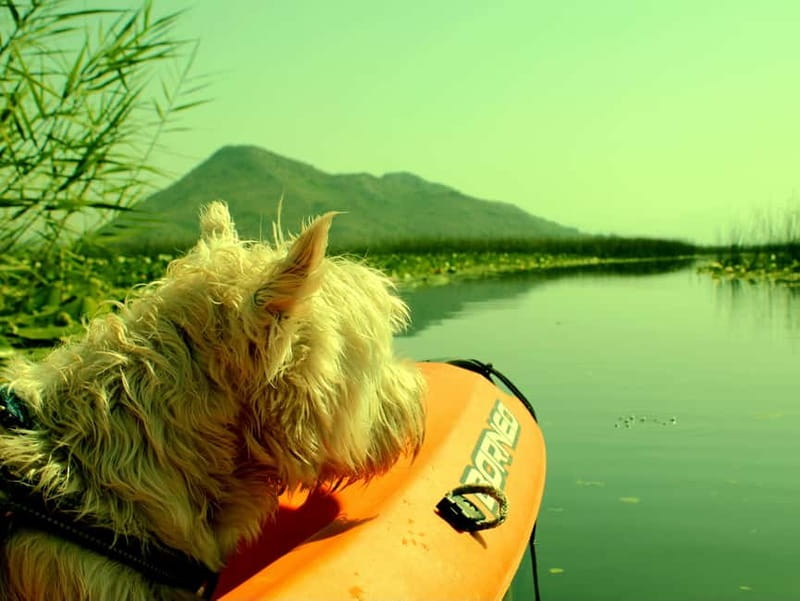 Skadar Lake National Park: Eco-friendly Kayak Adventure - Why Virpazar and Lake Skadar Make Sense for Kayaking