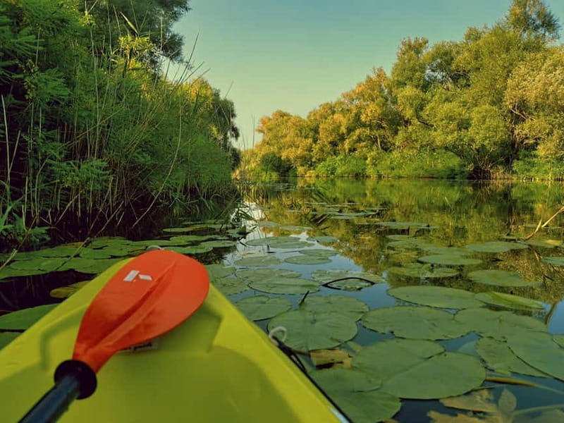 Skadar Lake National Park: Eco-friendly Kayak Adventure - The Onboard Break: Wine, Rakija, and Appetizers