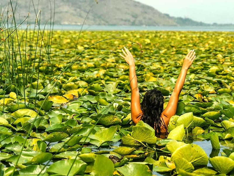 Skadar Lake National Park: Eco-friendly Kayak Adventure - Time for a Swim: Cooling Off in Deep Blue Water
