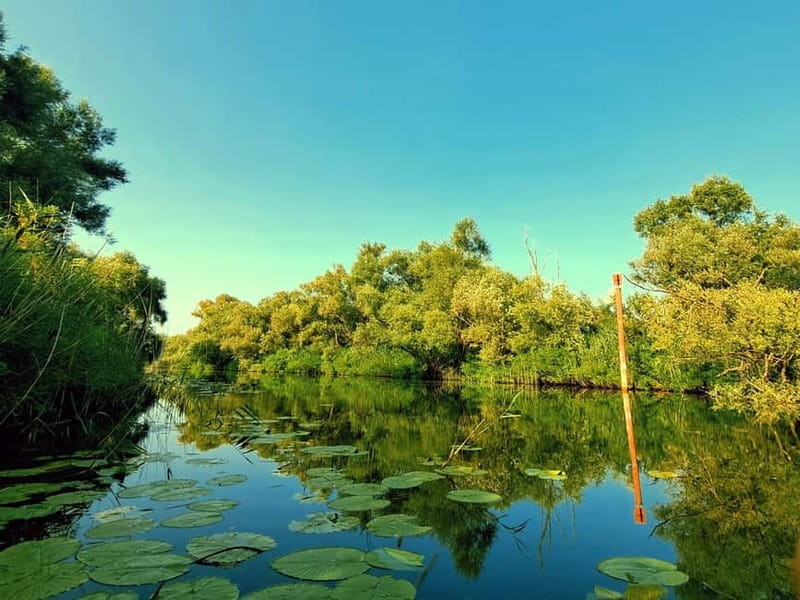 Skadar Lake National Park: Eco-friendly Kayak Adventure - Pace and Distance Reality Check for the 1-Hour Slot