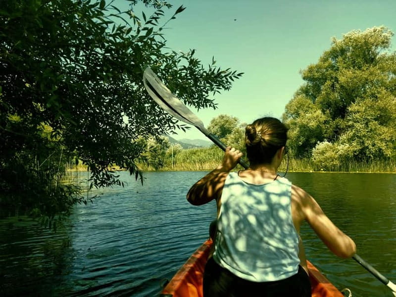 Skadar Lake National Park: Eco-friendly Kayak Adventure - Your 1-Hour Plan: Channels, Water Lilies, and Lesendro