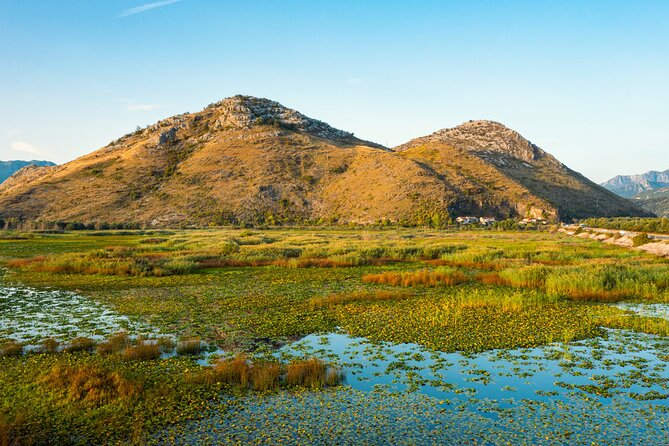 Skadar Lake National Park Guided Boat Tour with Wooden Boat - Wooden boat details, and why the guide’s style can change the trip