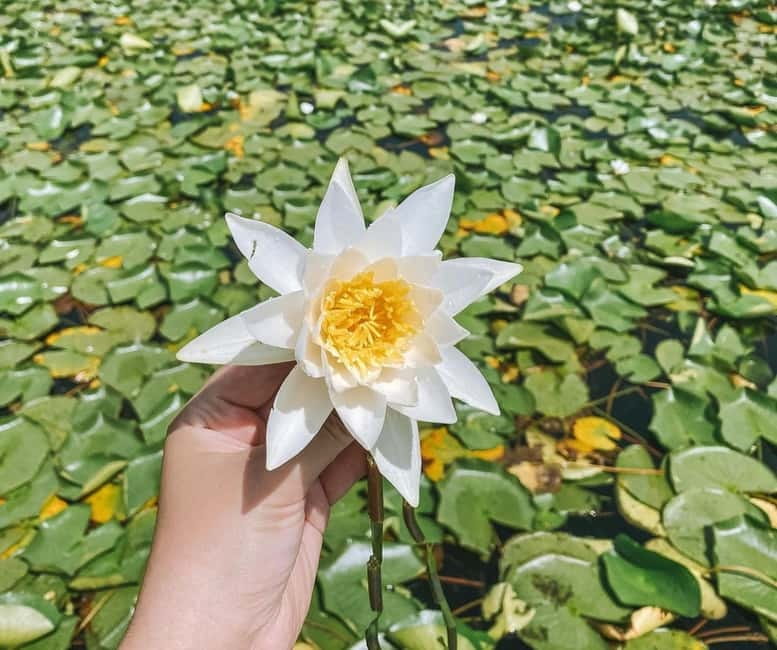 Skadar Lake Nature Cruise with Free Drinks - Who This Cruise Suits Best, and Who Might Be Disappointed